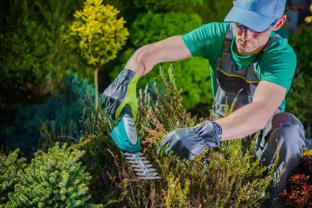landscaping services Mayersville